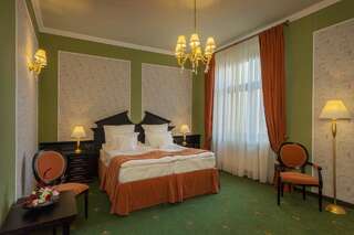 Отель Hotel Central Park Sighisoara Сигишоара Двухместный номер Делюкс с 1 кроватью-2