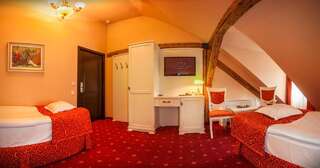 Отель Hotel Central Park Sighisoara Сигишоара Двухместный номер с 1 кроватью - Мансарда-2