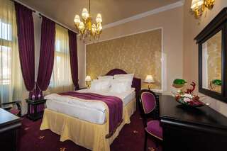 Отель Hotel Central Park Sighisoara Сигишоара Двухместный номер Делюкс с 1 кроватью-4