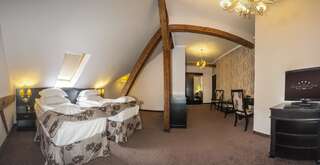 Отель Hotel Central Park Sighisoara Сигишоара Двухместный номер с 1 кроватью - Мансарда-8