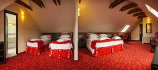 Отель Hotel Central Park Sighisoara Сигишоара Семейный люкс - Мансарда-1